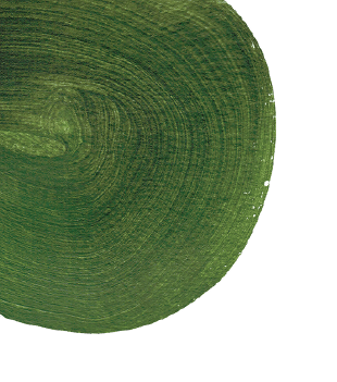 top green shape