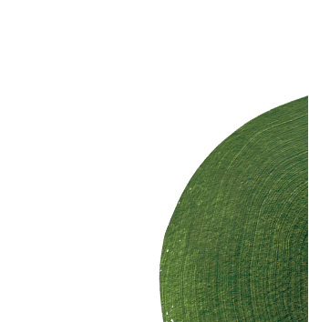 bottom green shape